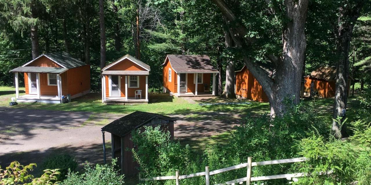 Pine Creek Motel & Campsites Gaines Dış mekan fotoğraf